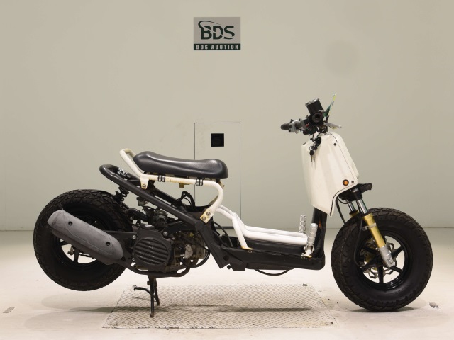Honda ZOOMER 2005