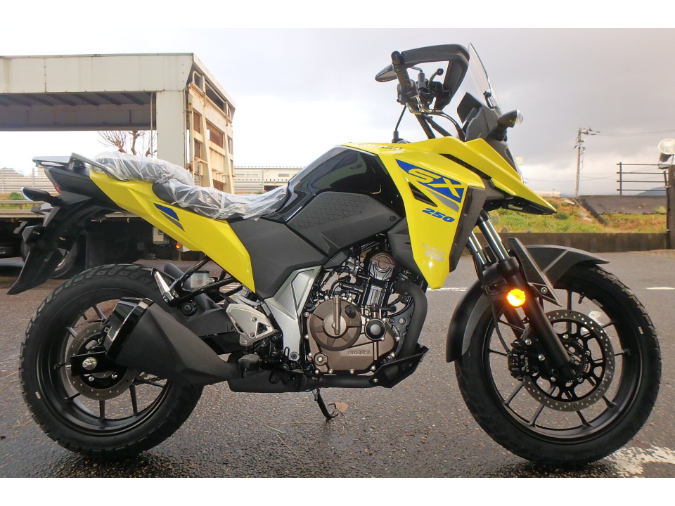 Suzuki V-STROM SX