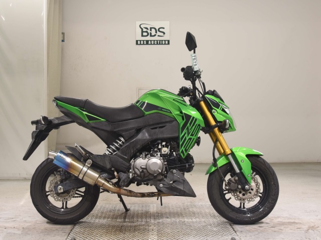Kawasaki Z125 PRO 2019