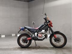Yamaha TRICKER 2004