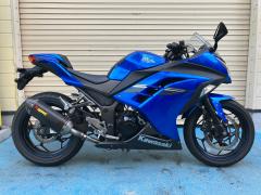 Kawasaki NINJA250 2017
