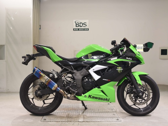 Kawasaki NINJA250 2015